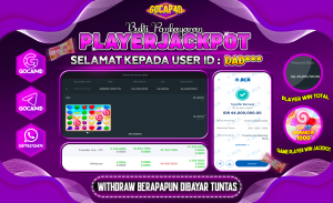 GOCAP4D – SWEET BONANZA 1000 RP 44.000.000,- LUNAS